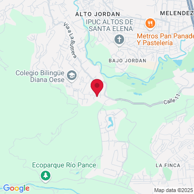 Google Maps static image